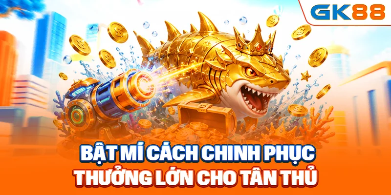 Bật mí cách chinh phục thưởng lớn cho tân thủ